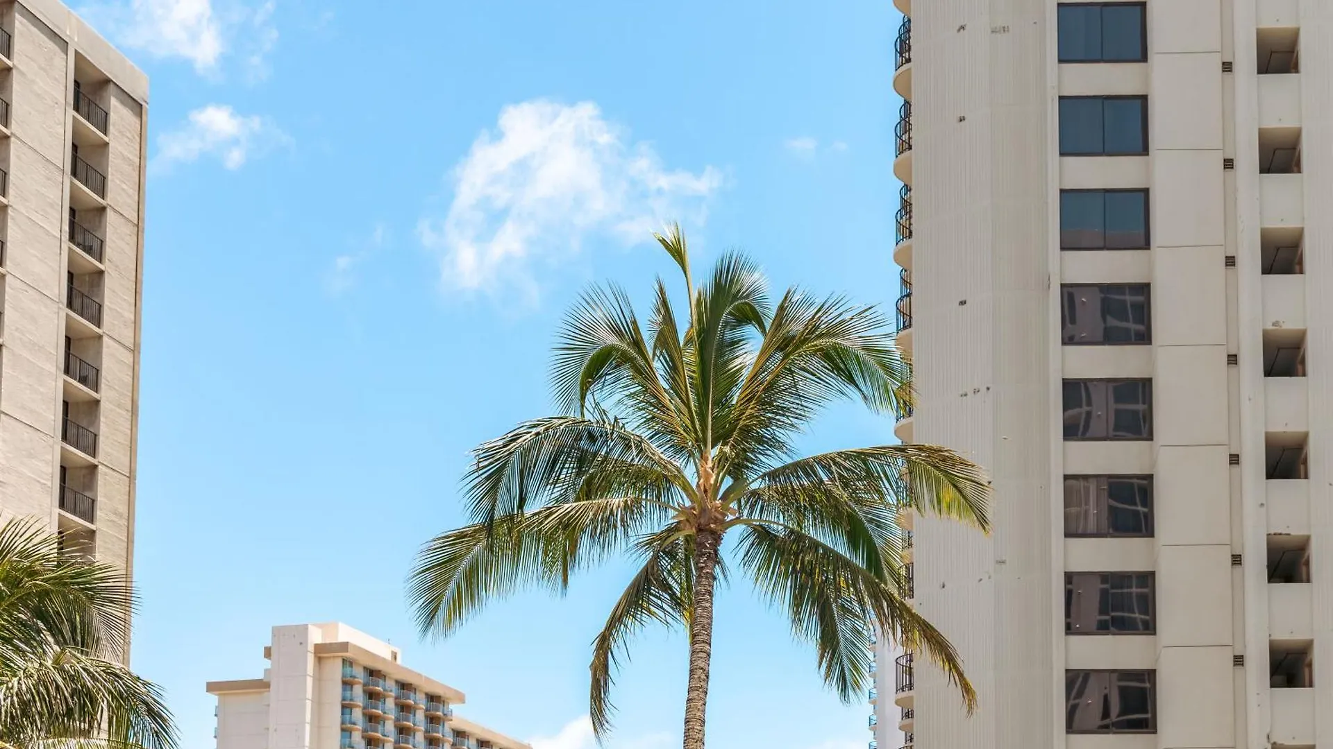 Appartamento Upscale Penthouse With Ocean Views - Free Parking Honolulu