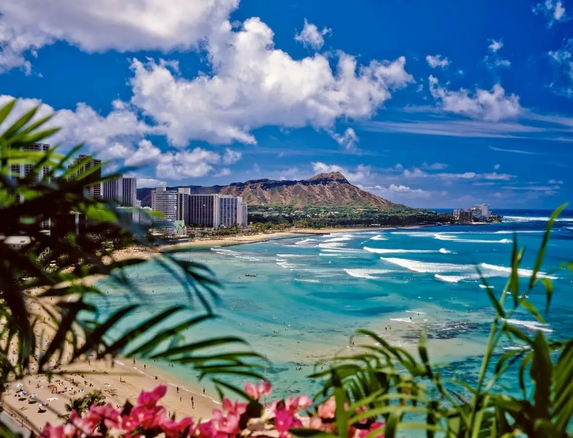 Appartamento Upscale Penthouse With Ocean Views - Free Parking Honolulu